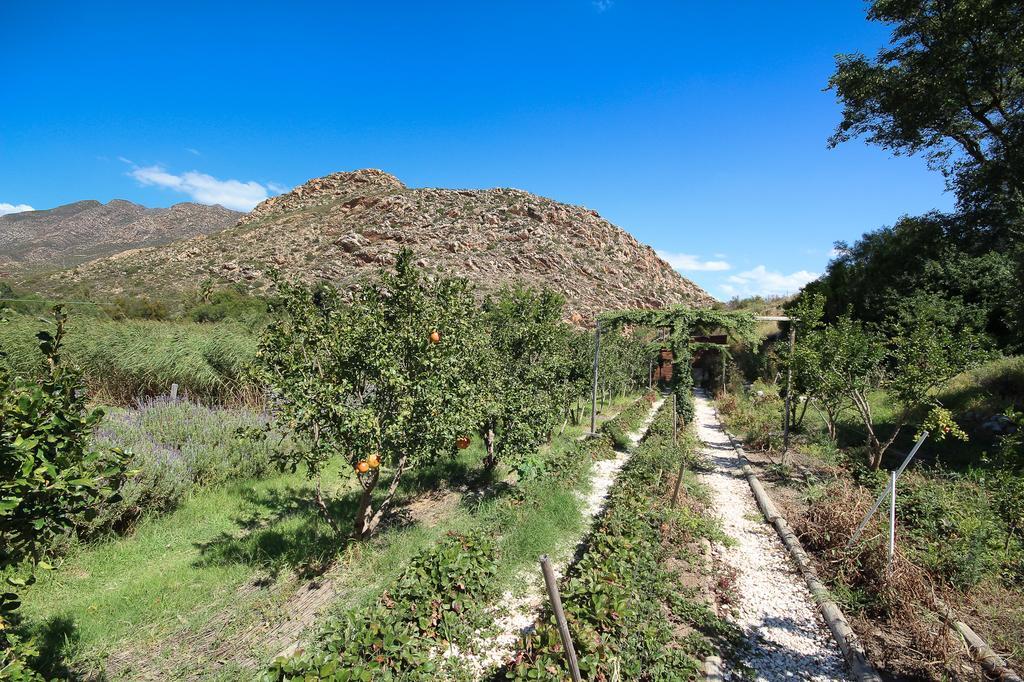Villa Kogman & Keisie Guest Farm à Montagu Extérieur photo